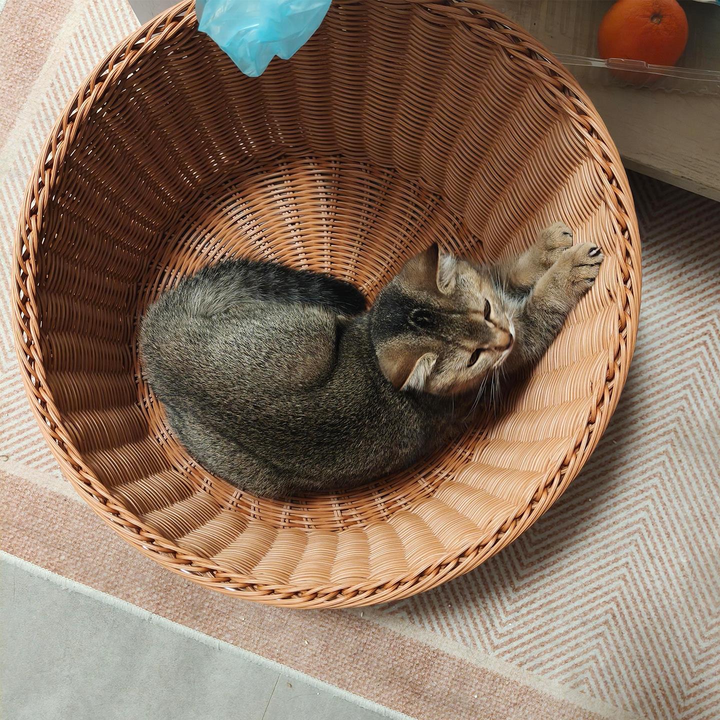 藤编猫窝四季通用猫床猫咪睡觉窝布偶夏季透气猫咪用品安全感窝