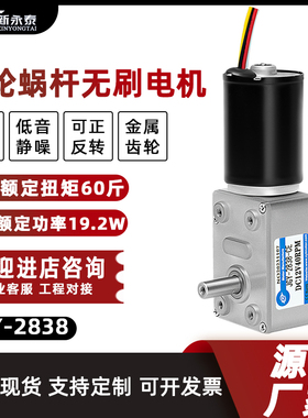 新永泰JGY2838微型涡轮涡杆直流无刷减速电机12V24V大扭矩小马达
