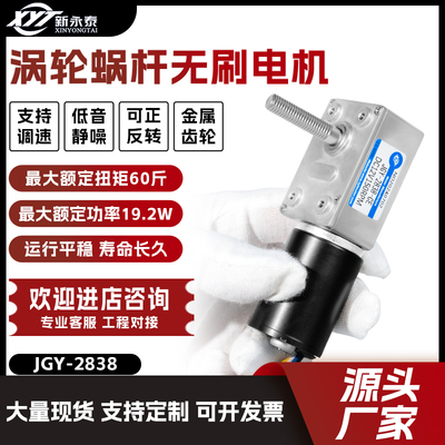 微型涡轮蜗杆直流减速电机新永泰