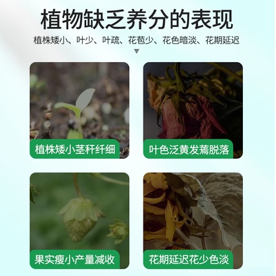 植物营养片缓释肥控释肥片氮磷钾花卉绿植肥浇好运绿叶催花爆根单