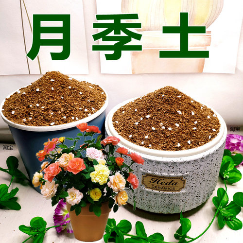 福建基地现配种植土！生根快！