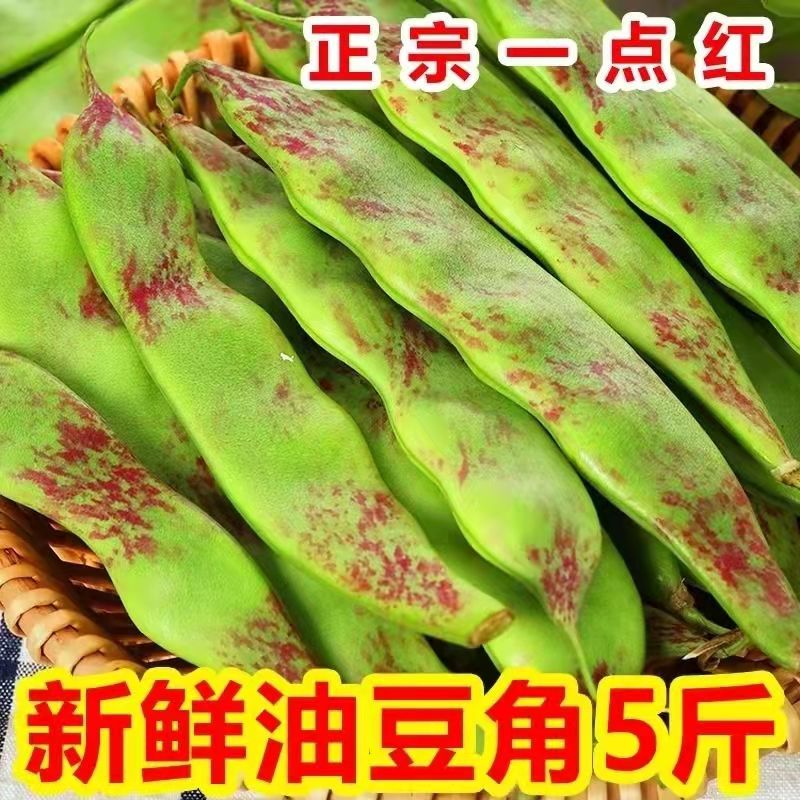 东北一点红油豆角正宗新鲜蔬菜九月青面豆角开锅烂现摘现发包邮顺