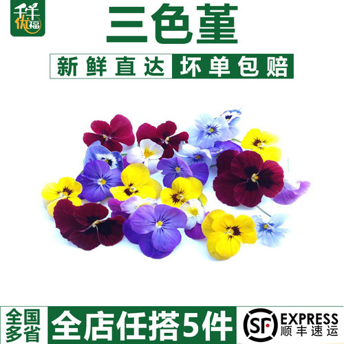 【千牛优福】新鲜西餐三色堇摆盘