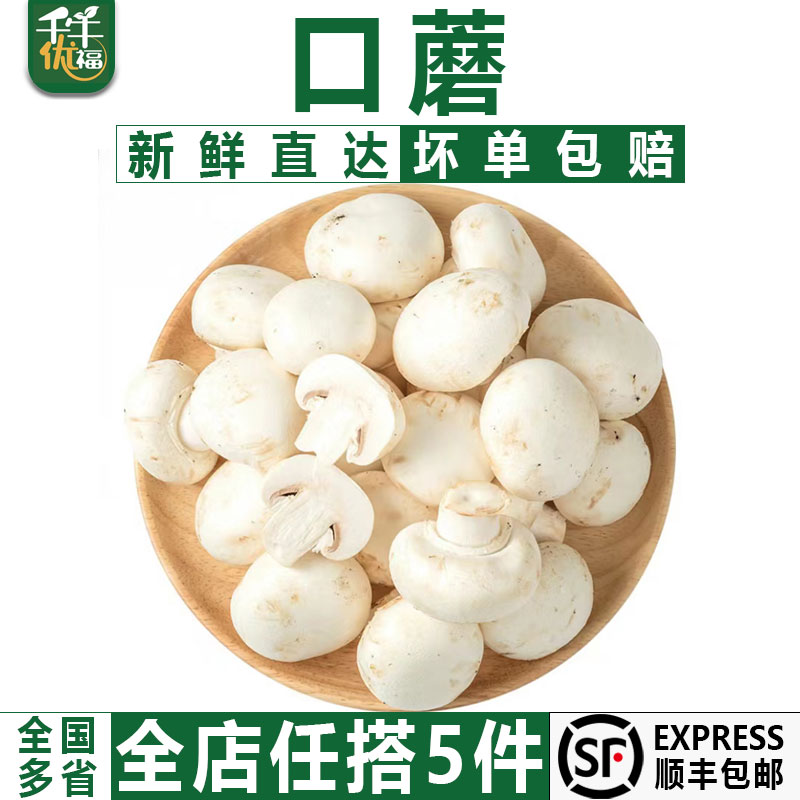 【千牛优福】口蘑500g 新鲜食用菌菇白蘑菇口菇 双孢菇煲汤蔬菜 水产肉类/新鲜蔬果/熟食 新鲜松茸/菌菇 原图主图