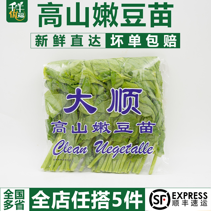 高山嫩豆苗150g/包清炒酒店料理