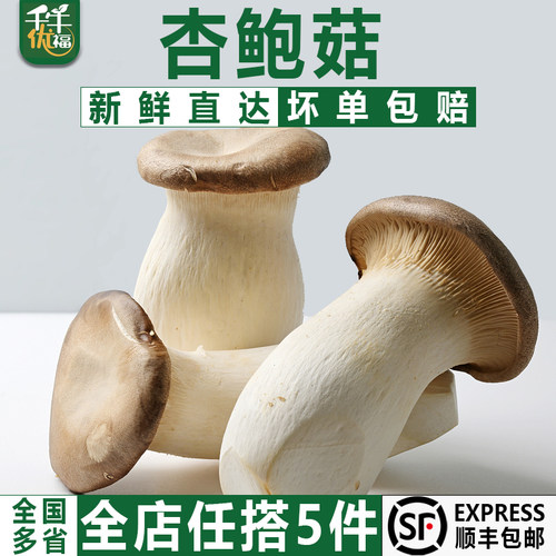 杏鲍菇鸡腿菇火锅食材双拼