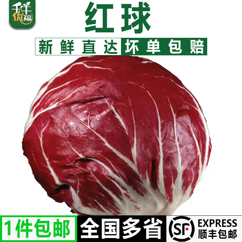千牛优福红菊苣新鲜蔬菜沙拉菜