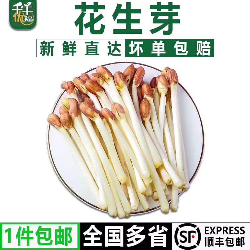 千牛优福花生芽盒装花生芽火锅菜