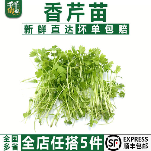 千牛优福苗菜芽菜顺丰包邮