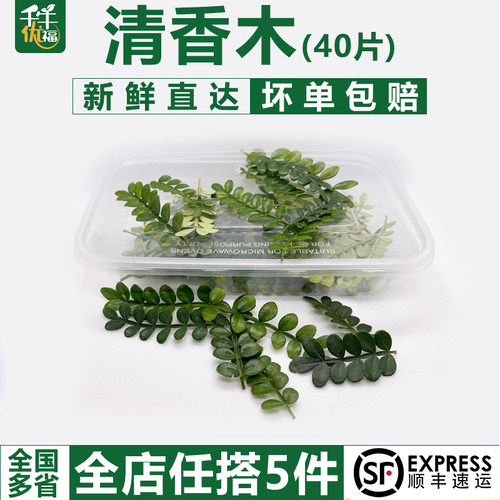 清香木40片/盒任搭5件顺丰包邮