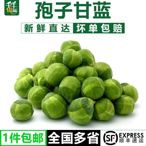 千牛优福抱子甘蓝新鲜包菜卷心菜