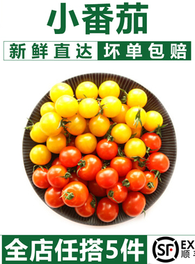 千牛优福 樱桃小番茄400g 红黄圣女果新鲜蔬菜水果西红柿 5件包邮