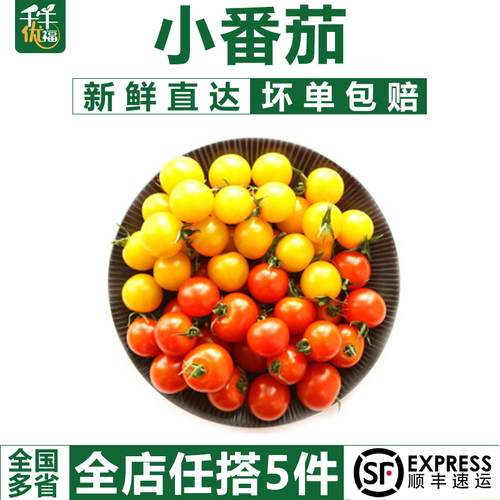 【千牛优福】400g新鲜樱桃小番茄