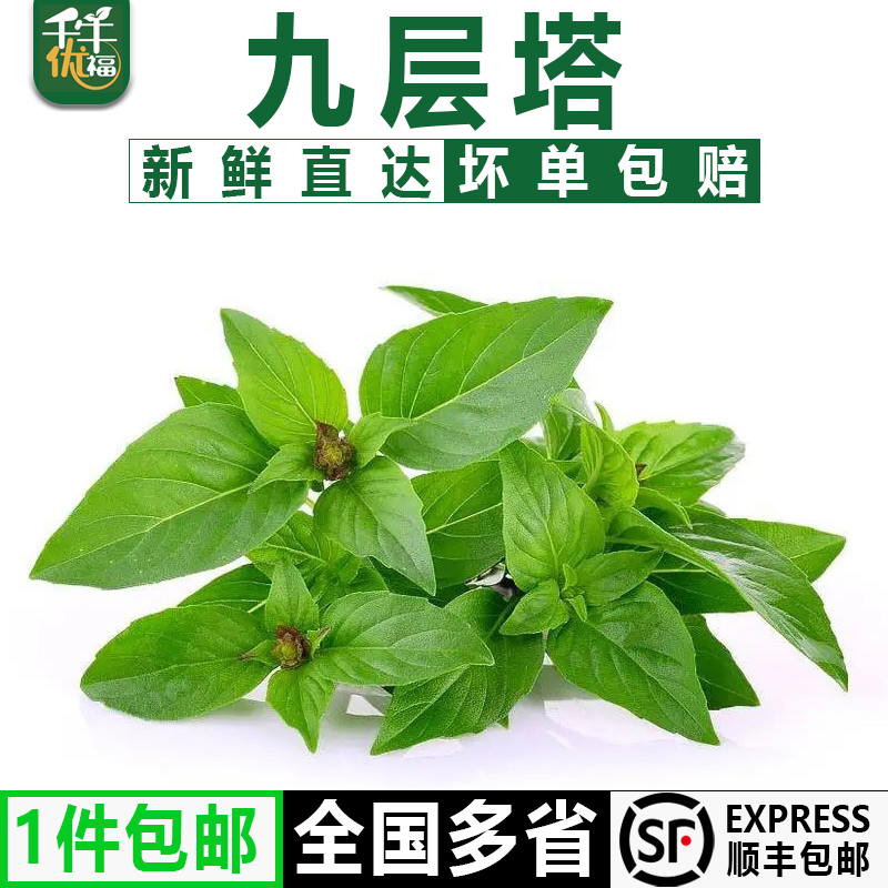 千牛优福九层塔50g1500g
