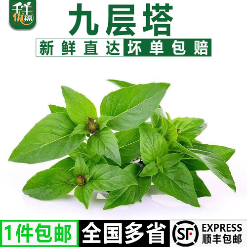 千牛优福九层塔50g1500g