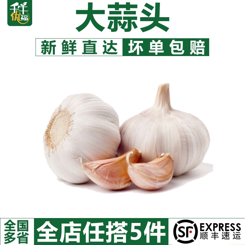 千牛优福新鲜大蒜头500g种籽农家