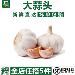 蔬菜白皮紫皮蒜 新鲜干大蒜头500g蒜种籽农家自种当季 千牛优福