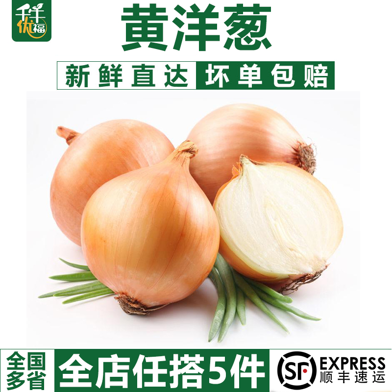 【千牛优福】黄洋葱500g 白洋葱圆葱头蔬菜新鲜农家自种包邮 水产肉类/新鲜蔬果/熟食 洋葱/红葱头 原图主图