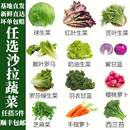 沙拉蔬菜可自选套餐轻食材新鲜混合生菜生吃凉拌轻食西餐专用组合