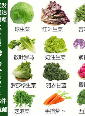 沙拉蔬菜可自选套餐轻食材新鲜混合生菜生吃凉拌轻食西餐专用组合