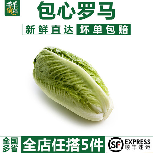 【千牛优福】包心罗马500g生菜