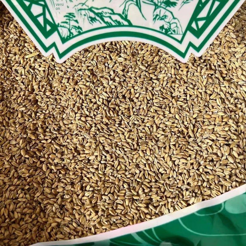 浮小麦中药材500g克止汗茶浮水小麦干瘪子新货Q选货红枣甘麦大枣