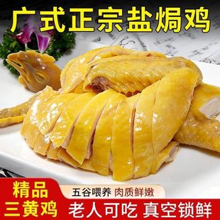 整只广式盐焗鸡三黄鸡700g真空包装零食鸡肉熟食开袋即食小吃批发