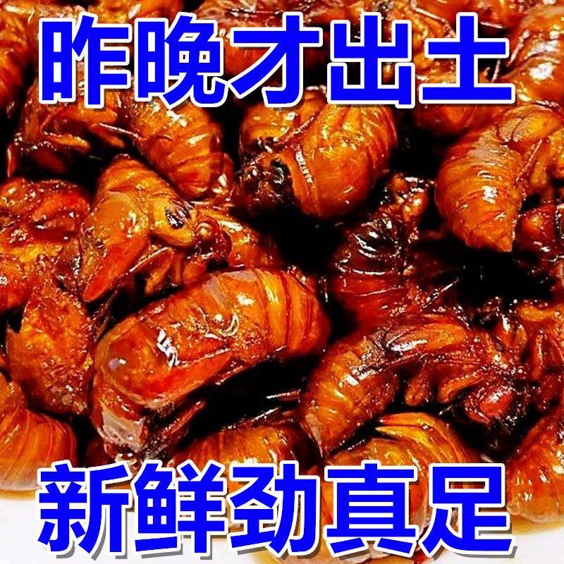 新鲜金蝉2026野生油炸知了猴结了龟爬叉唐僧肉椒盐香辣五香多口味
