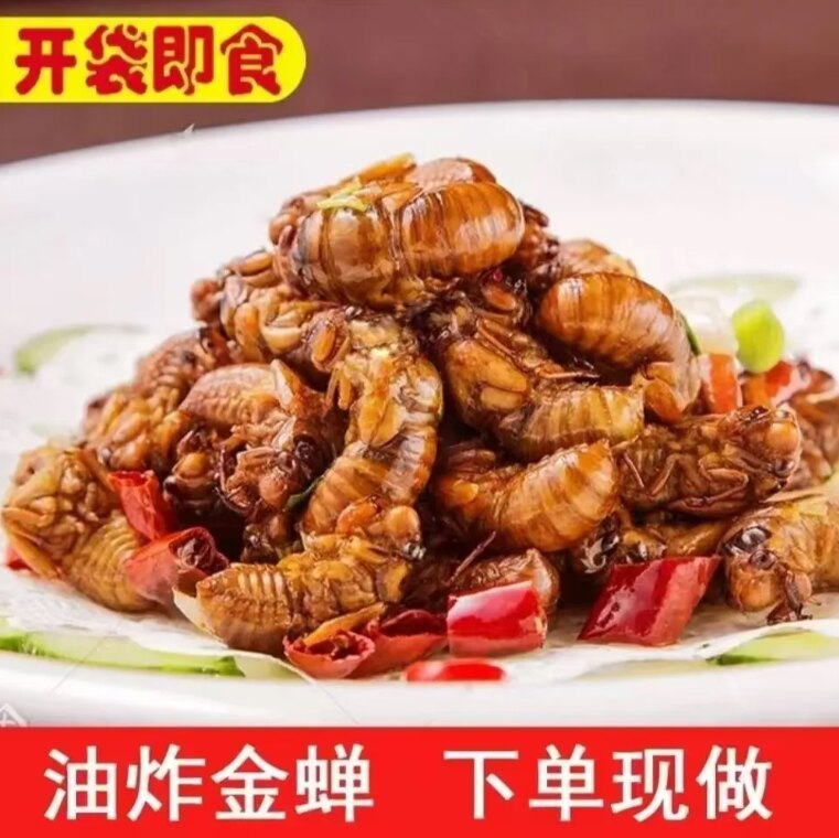 新货】野生油炸爬叉金蝉知了猴结了龟特色小吃下酒菜美食营养熟食