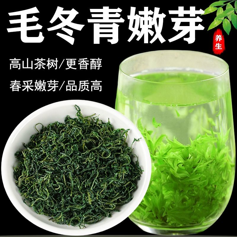 22年毛冬青茶正品野生特级嫩芽云南特产散装青山绿水小叶苦丁茶