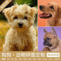 300片拼圖定制狗狗照片diy茶杯幼犬相片5金毛寵物柯基紀(jì)念照禮物