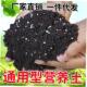 soil Potting nutrient Organic vegetab 40L