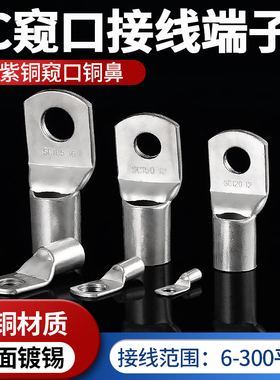 紫铜窥口鼻SC10-6/8/10 SC6 SC16 SC25 SC50SC70国标加厚冷压端子