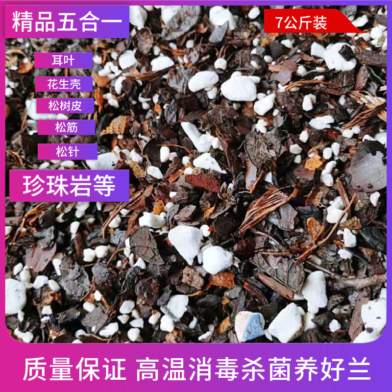 兰花，君子兰营养土兰花植料