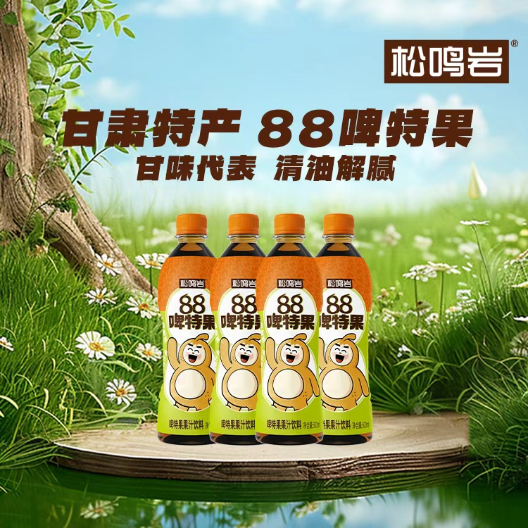 甘肃特产怀旧健康0脂肪发酵果汁