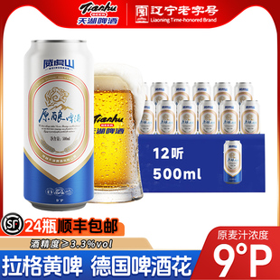 天湖啤酒9度原浆黄啤500ml 整箱精酿小麦啤酒畅饮醇正 3听罐装