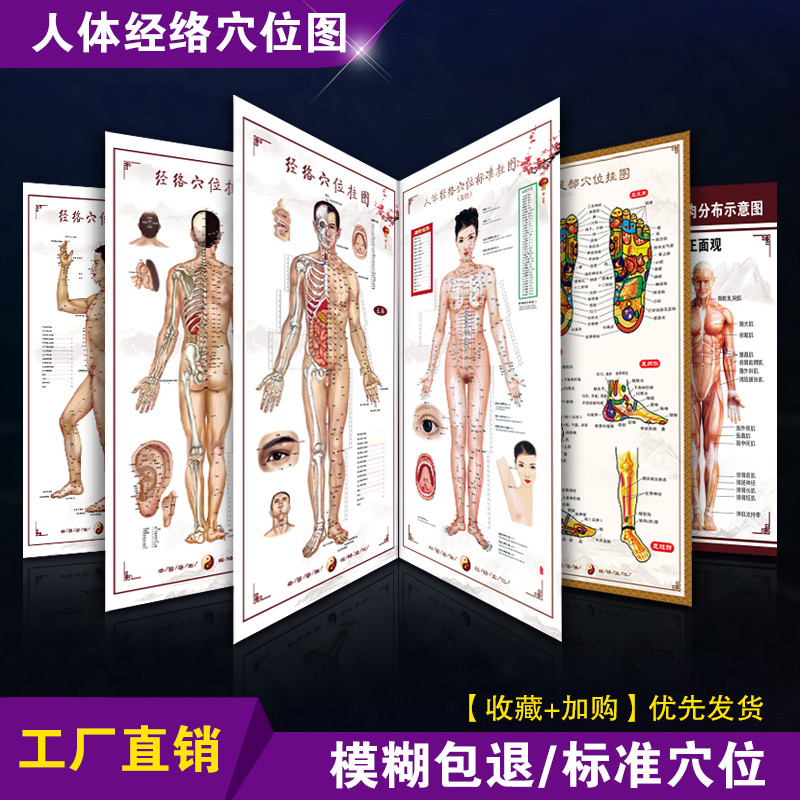 经络图大挂图人体穴位中医图解背部养生馆宣传画针灸推拿海报全身