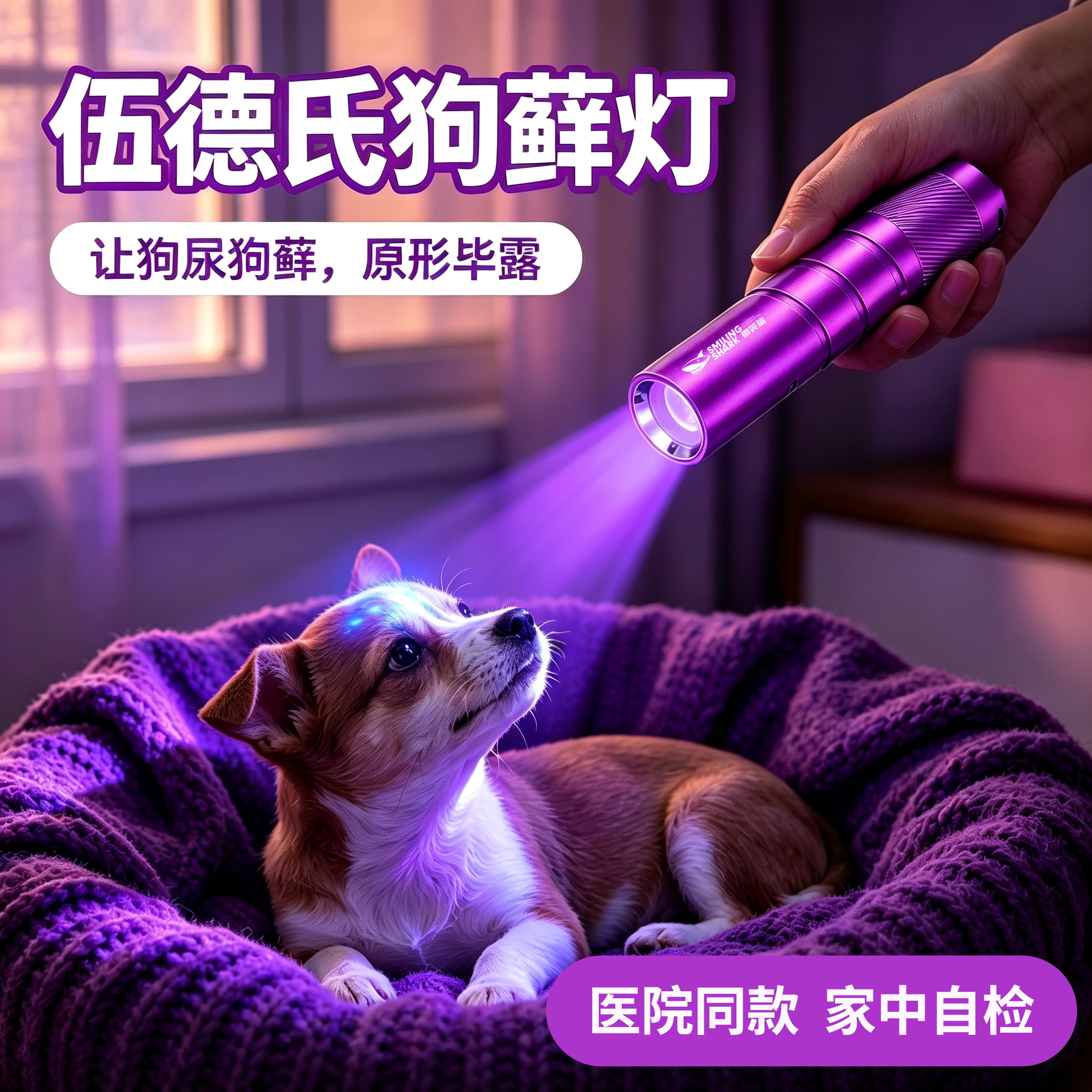 狗藓家用自检荧光高亮充电长续航图片