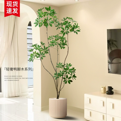 Смоделированные зеленые растения утиные ноги деревянные горшка растения бионические растения Внутренняя гостиная