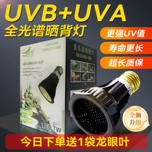 高UV值全光谱晒背补钙