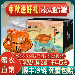 【活蟹】溱湖簖蟹大闸蟹8-14只鲜活螃蟹礼盒现货湖蟹河蟹中秋送礼