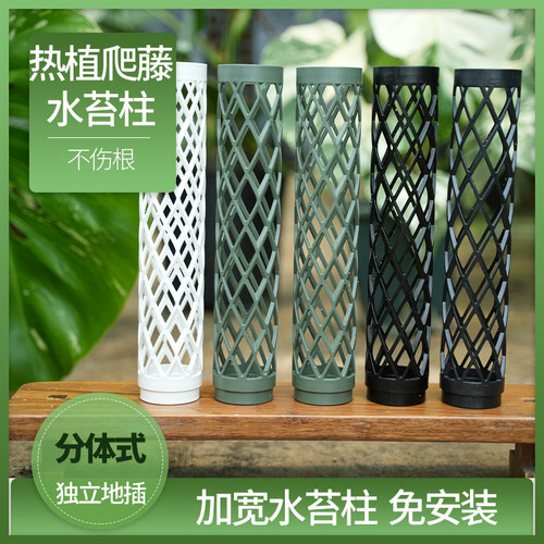 沃木达水苔柱龟背竹爬藤墙植物固定热植附生植物攀爬柱新型水台柱