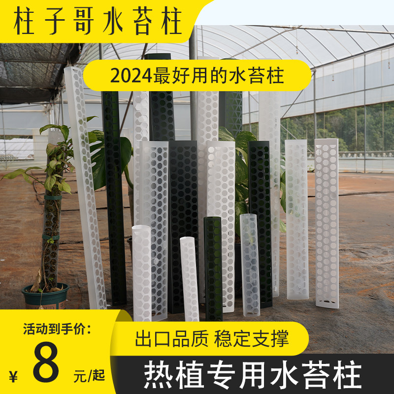 热植专用爬藤柱子龟背专用图片
