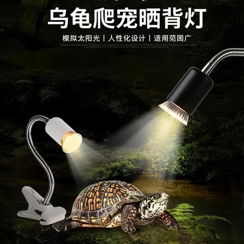 爬宠乌龟晒背灯uvb补钙保暖