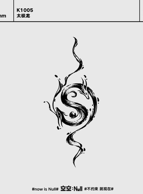 空空NULL 太极龙 草本防水持久男女小众个性高级果汁纹身贴