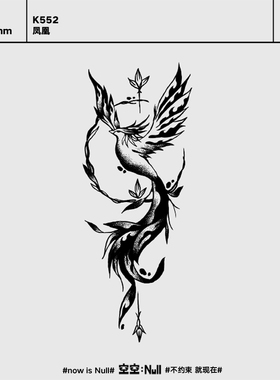 空空NULL 凤凰涅槃 草本防水持久纹身贴男女高级感花臂纹身贴满背