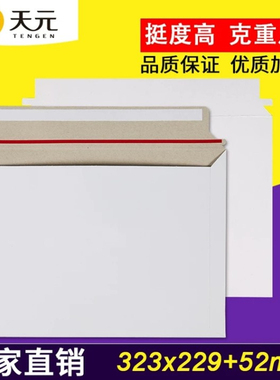天元快递文件封快递封套 寄文件发票合同 邮政EMS空白信封 可印刷