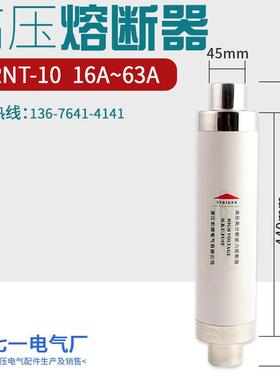 XRNT10-24KV10A16A20A40安50A63A80A高压熔断器高分断限流510熔管
