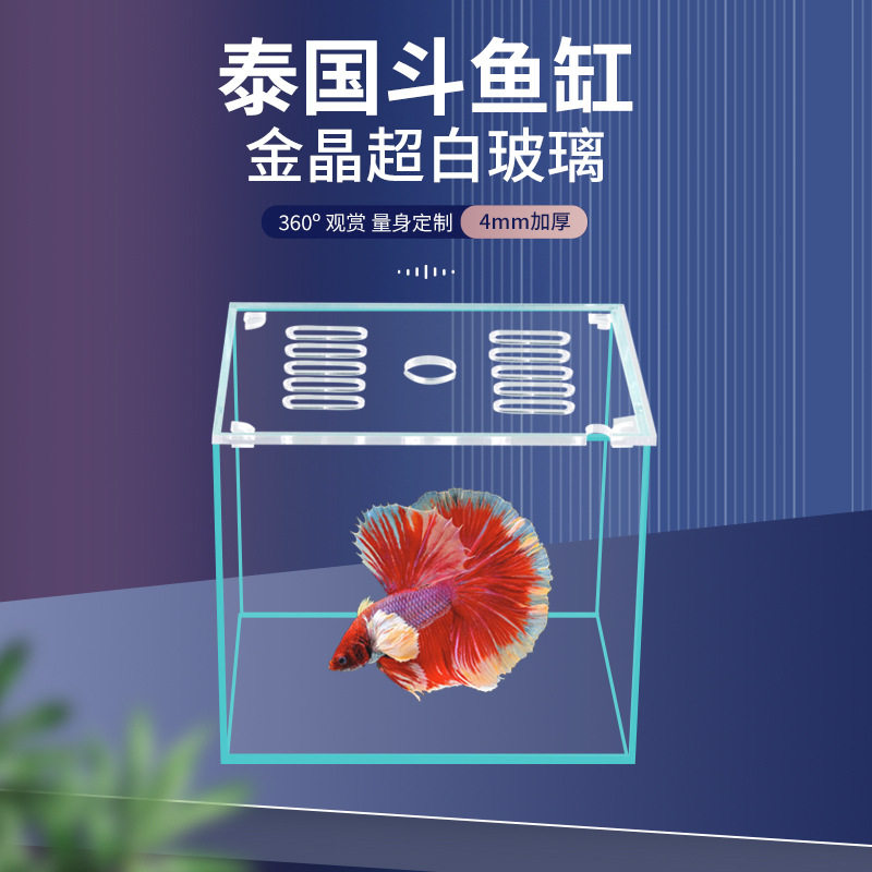 泰国斗鱼专用超白缸桌面