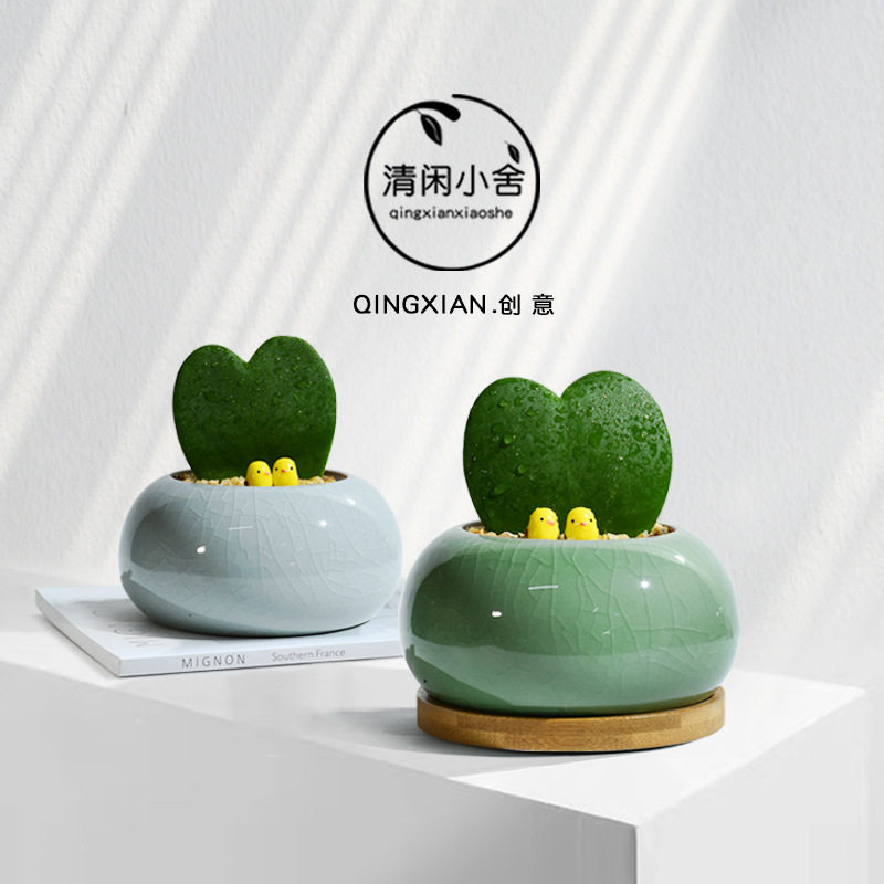 一片心多肉小盆栽办公室